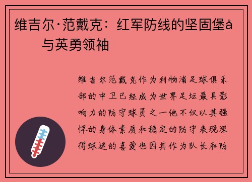 维吉尔·范戴克：红军防线的坚固堡垒与英勇领袖