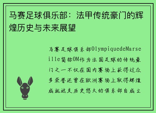 马赛足球俱乐部：法甲传统豪门的辉煌历史与未来展望